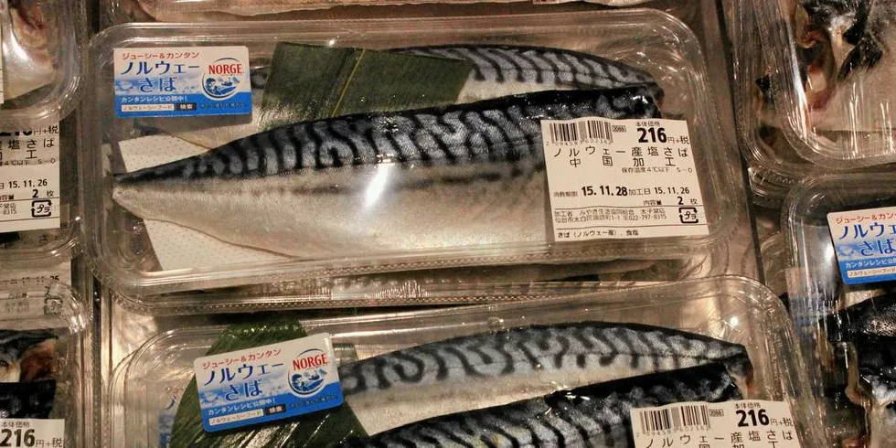 MARKEDSFØRING: – Det er ikke Sjømatrådet som selger fisken. Den jobben gjøres av store og små selskaper som i mange tiår har lykkes med å hente ut merverdier og posisjonere norsk pelagisk fisk over hele verden, skriver Sjømat Norge i et leserinnlegg.Foto: Anders H. Furuset