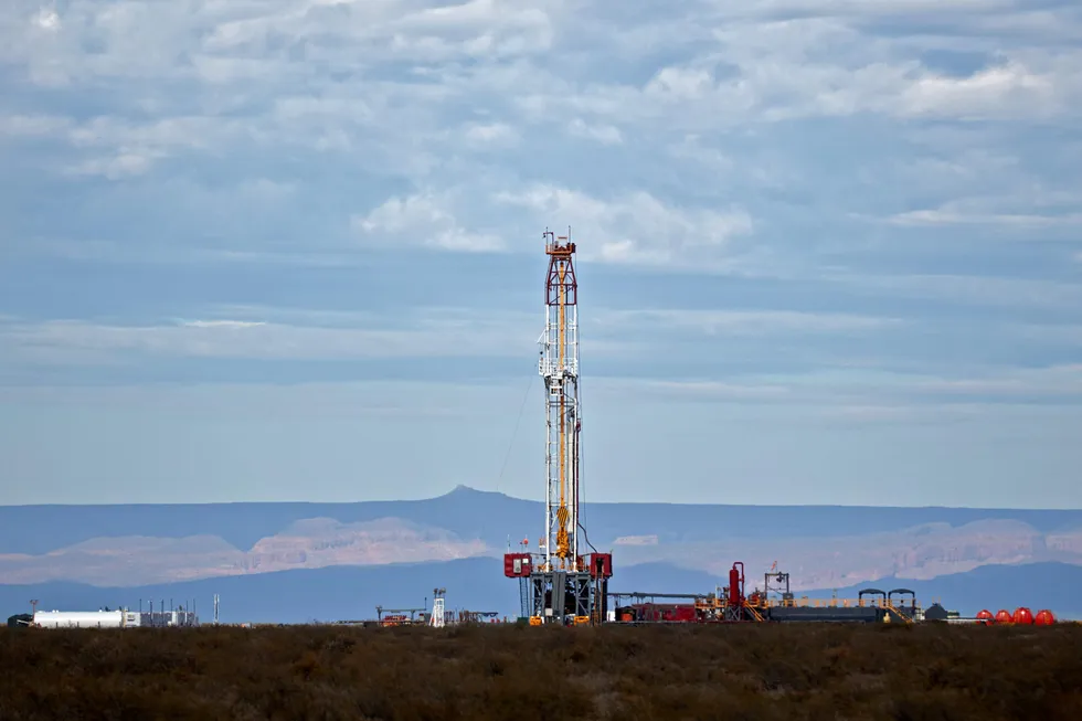 Production increase: Energy bill seeks to promote increased development of Argentina's Vaca Muerta formation