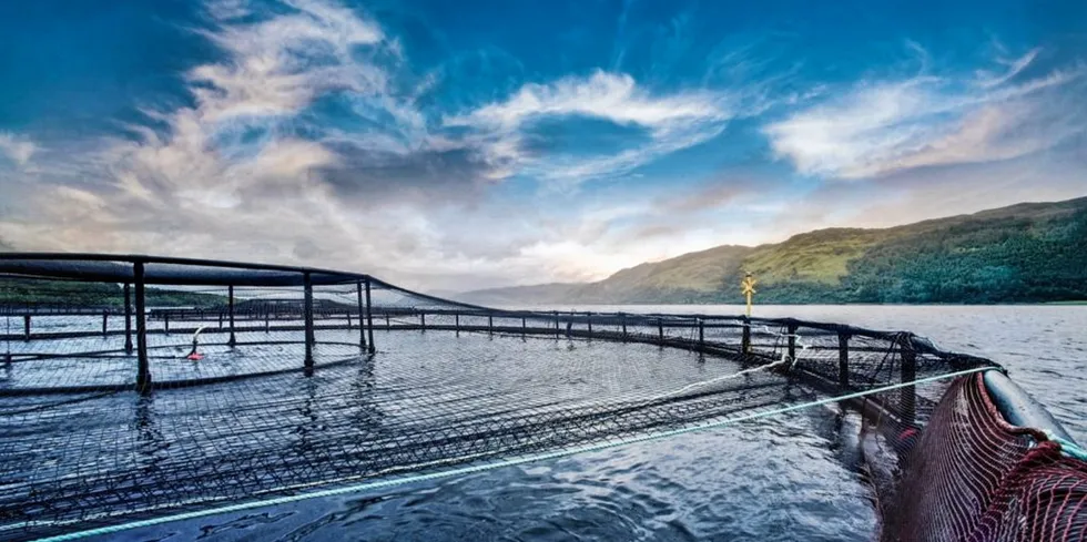 Scottish Salmon Company sea water salmon production site, Loch Carron, Strome.