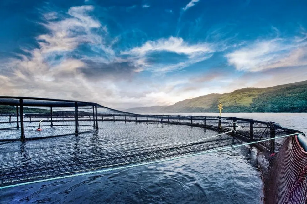 Scottish Salmon Company sea water salmon production site, Loch Carron, Strome.