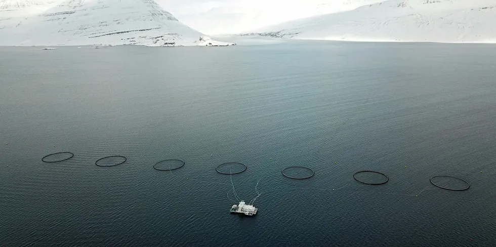 Laxar sin lokalitet Gripaldi i Reydarfjordur på Island.