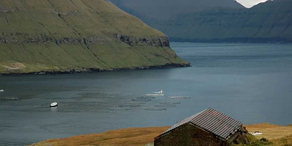 Merdene til Marine Harvest i Oyndarfjørður på Færøyene. (Foto: Jógvan H. Gardar)