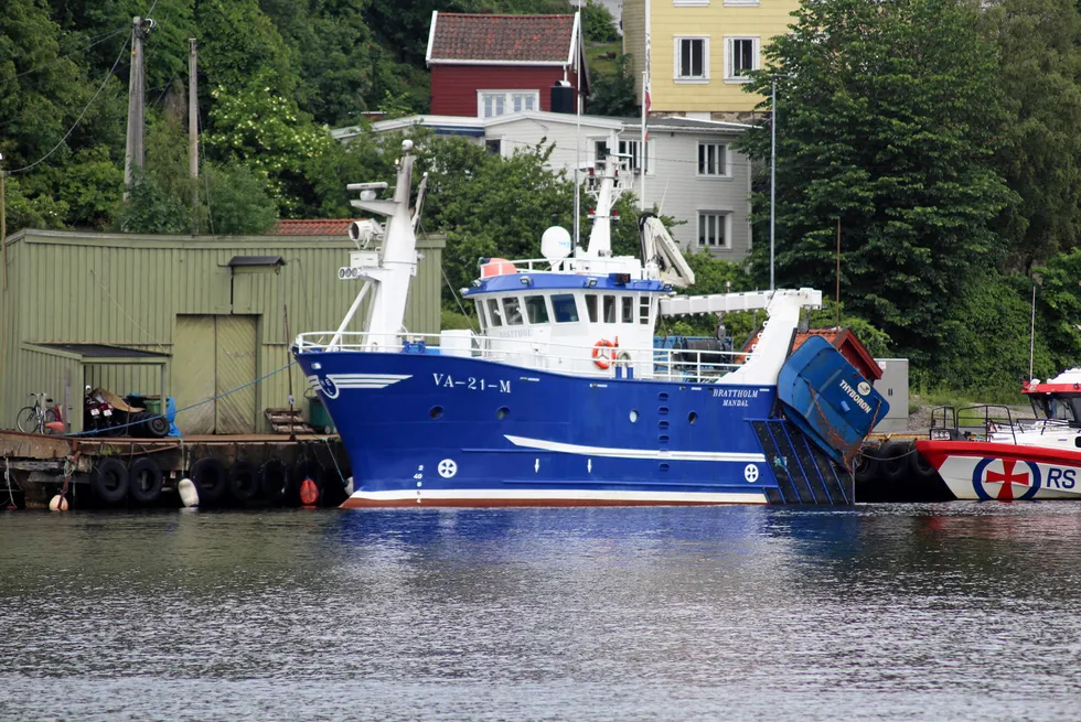 Rekeflåten i sør, her representert ved «Brattholm» av Mandal, landet 190 tonn reker, derav 120 tonn kokt, i de tre første ukene i juli.