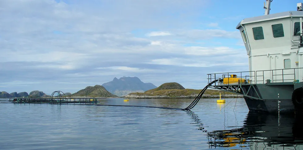 Den nye AM 400 Comfort-flåten skal i drift på lokaliteten Brennholmen på nordlandskysten. Her avbildet med en av Kobbvåglaks sine AM 320-flåter i aksjon på lokaliteten. Kobbvåglaks.