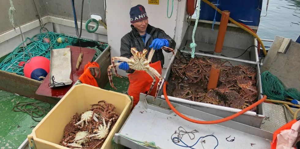 Arnt Ring fisker kongekrabbe både i det kvoteregulerte området i øst og i frisonen. Bildet er fra fiske i frisonen i vår. Fangsten ble levert på mottaket til Cape Fish på Storekorsnes i Alta.