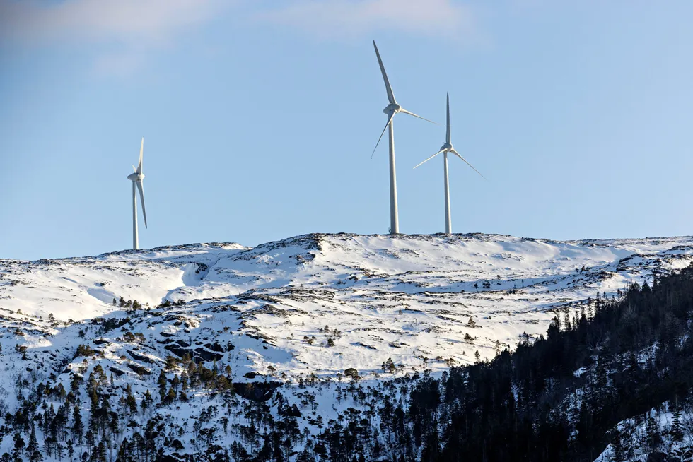 En passiv norsk klimapolitikk vil kunne ramme private bedrifter hardt, skriver artikkelforfatteren. Vindmøller på Fosen.