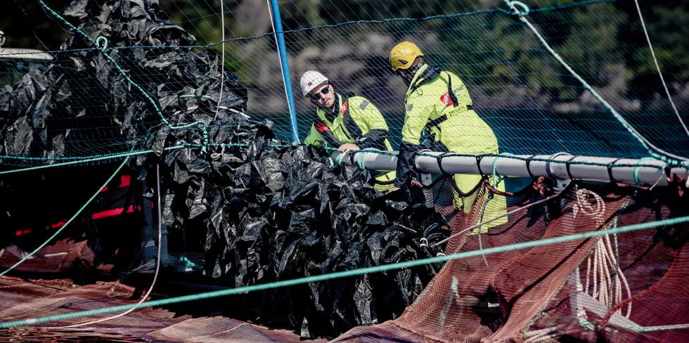 Esben Møklebust Aase har varierte dager på jobb.