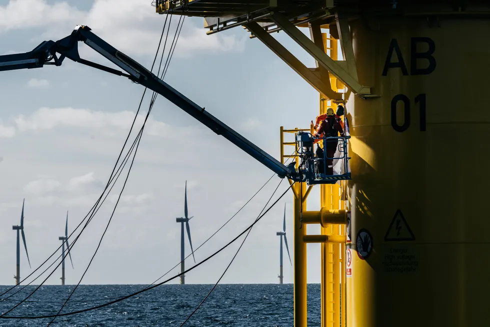 Havvindturbiner fungerer som kunstige rev, skriver artikkelforfatterne. Bildet er fra Arkona-vindparken i tyske farvann i Østersjøen.
