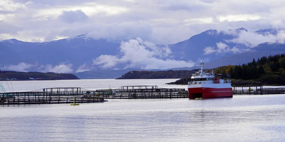 «Hestholmen N» i Fugløyfjorden i Gildeskål på Helgeland er ett av Nova Seas mange anlegg.