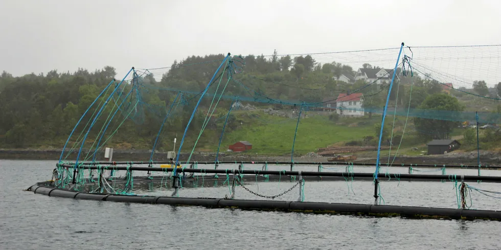 Bilde fra Lerøy Midt sin lokalitet Badstuvika utenfor Hitra. Det er ikke lokaliteten på bilde som omtales i saken.