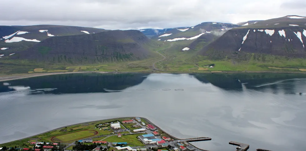 Det ble opprinnelig oppgitt at 1500-2000 tonn var gått tapt etter hendelsene ved de to Arctic Fish-lokalitetene. Ifølge NRS' nye tall er det snakk om 3.000 tonn fisk.