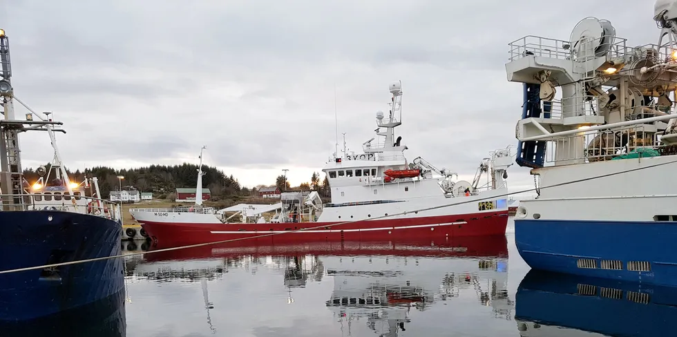 TAKTSKIFTE: Dersom ein ynskjer at norsk fiskeri skal organiserast på ein sånn måte, må alle unge, satsande fiskarar få greie på det no, slik at dei kan ta med i vurderingane sine kva vilkår som gjeld i framtida. Bildet er av båtar til kai Hareid kommune.