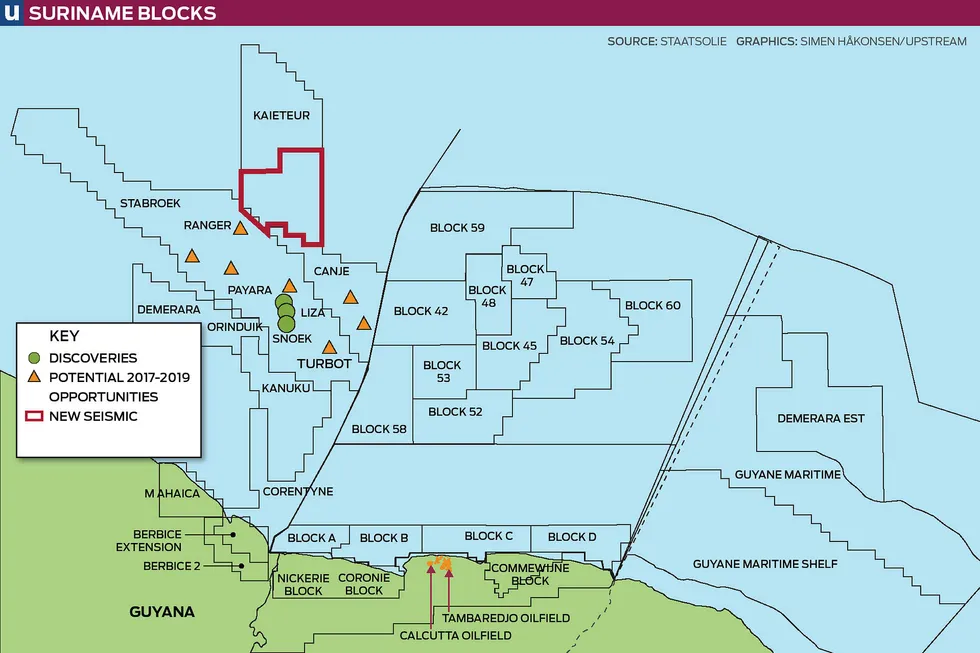 Hydrocarbon potential: Suriname's offshore and onshore acreage