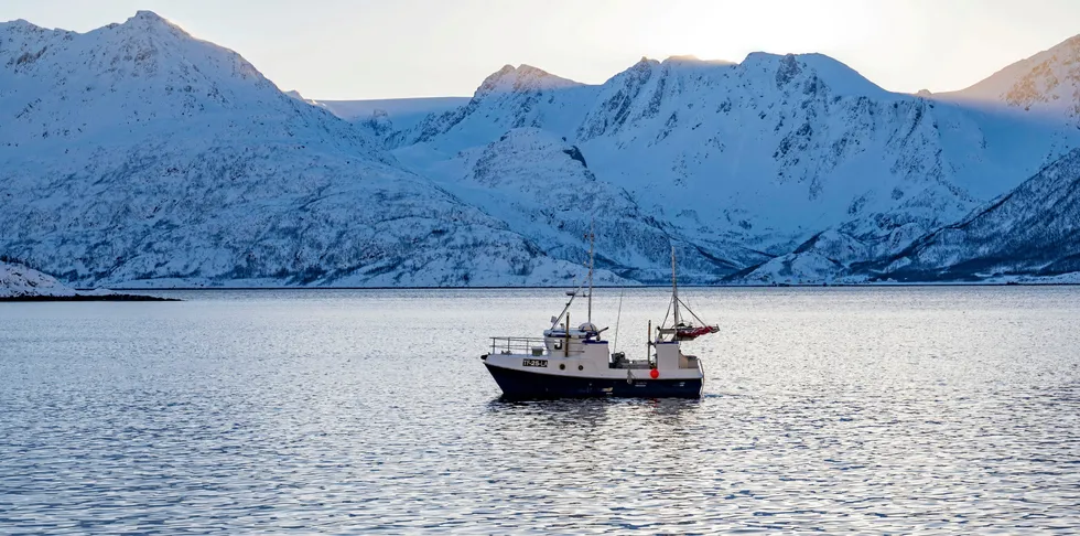 De nye bestemmelsene om posisjonsrapportering hvert 10. minutt og elektronisk rapportering (ERS) av dagsfangst for norske fiske- og fangstfartøy under 15 meter, vil gi oss forskere detaljert informasjon om hvilket område fiskebåten fisker i.