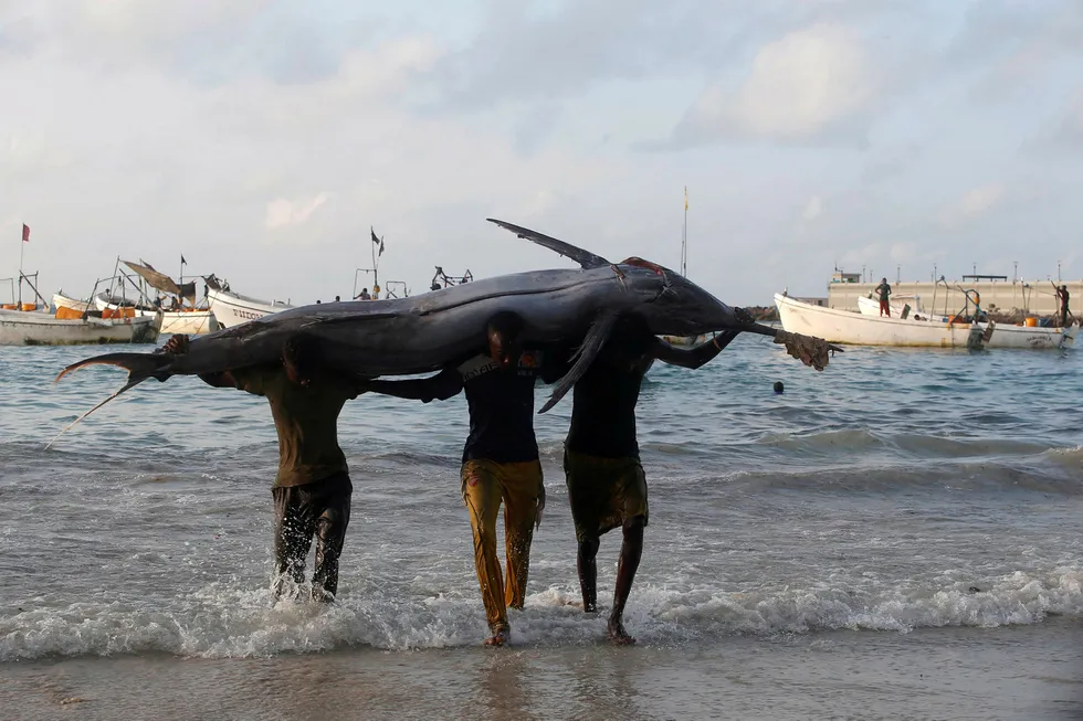 Ocean riches: Somali fishermen carry a fish from their vessels on the shores of the Indian Ocean on Liido beach, in Mogadishu