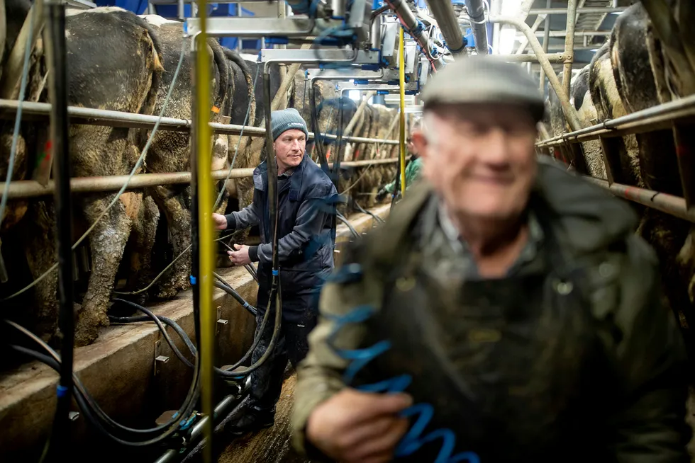 Maurice Smiddy og faren Joe har 180 kuer. Nå skal de levere melk til den norske osten Jarlsberg. Selv om det er overflod av melk i Norge, flagger Tine ut et melkevolum tilsvarende 500 norske gårder.