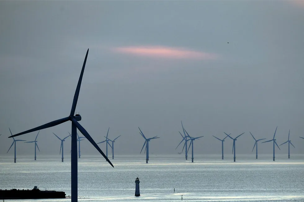 Wind power: New Brighton lighthouse is pictured at sunset in north-west England, with the Burbo Bank Offshore Wind Farm visible on the horizon. Europe's renewable energy expansion is opening up new opportunities for service contractors that traditionally have served the fossil fuel industry.