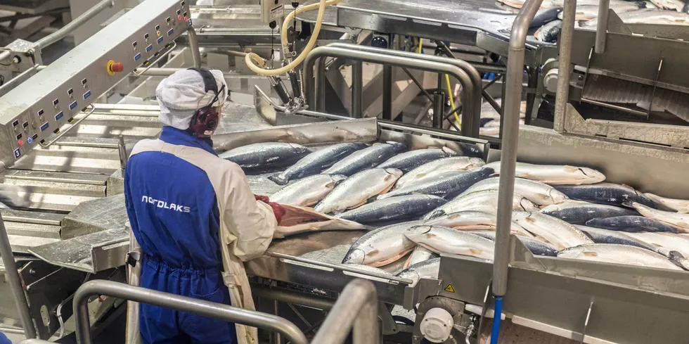 Lakseslakteriet Nordlaks på Stokkmarknes. Bildet er tatt ved en tidligere anledning.