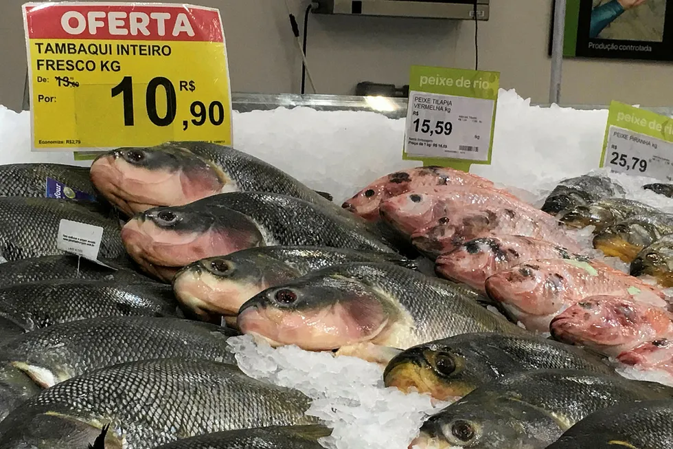 Fresh seafood at a Carrefour Brasil counter.