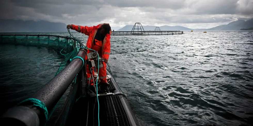 TAPTE: Vestlandsoppdretterne tapte kampen mot staten, og bør sette punktum. Å bli regulert er verken brudd på menneskerettighetene eller Grunnloven, mener Fiskeribladet.