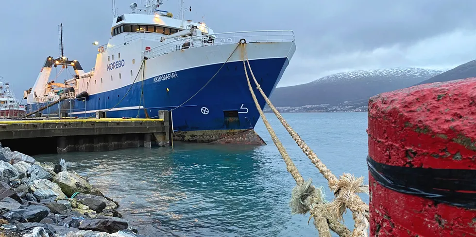 Russisk trålere lander store mengder fisk i Tromsø, men kan bli nektet å legge til kai dersom Norge følger EUs sanksjoner om å nekte havneanløp for russiske skip.