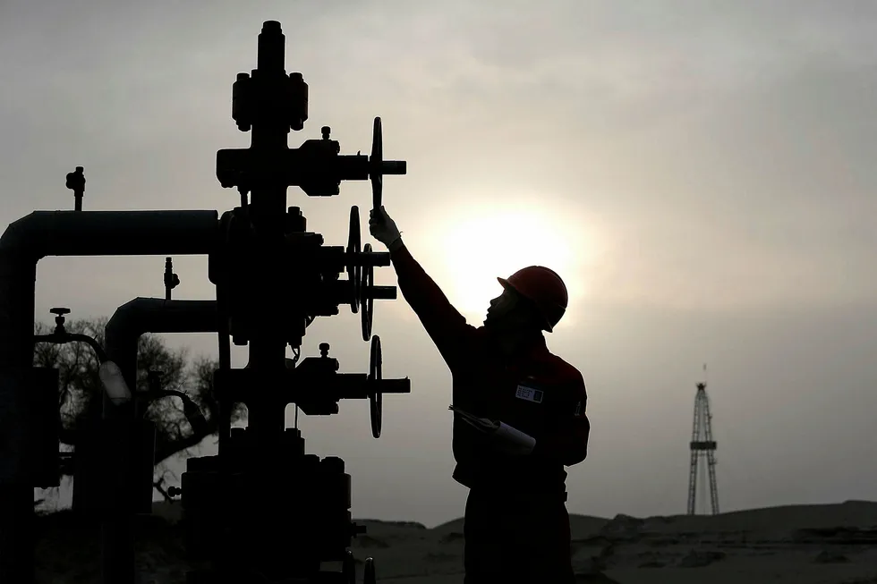 Revenue rise: PetroChina's crude output rose last year