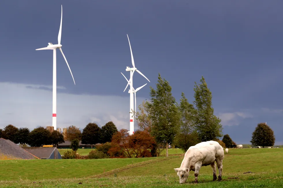 Hvis land som Nederland og Belgia skal dekke sitt energibehov fra vindkraft, må halvparten av territoriet på land brukes til vindmølleparker, skriver artikkelforfatterne. Illustrasjonsfoto fra Waremme i Belgia.