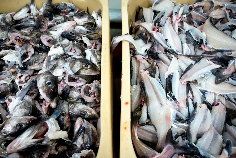 72 prosent av norsk fisk blir sendt ut av landet for videreforedling i fiskeindustrien i andre land. Hadde vi i stedet bearbeidet den i Norge, kunne verdien av dagens eksport økt med 30 milliarder kroner.
