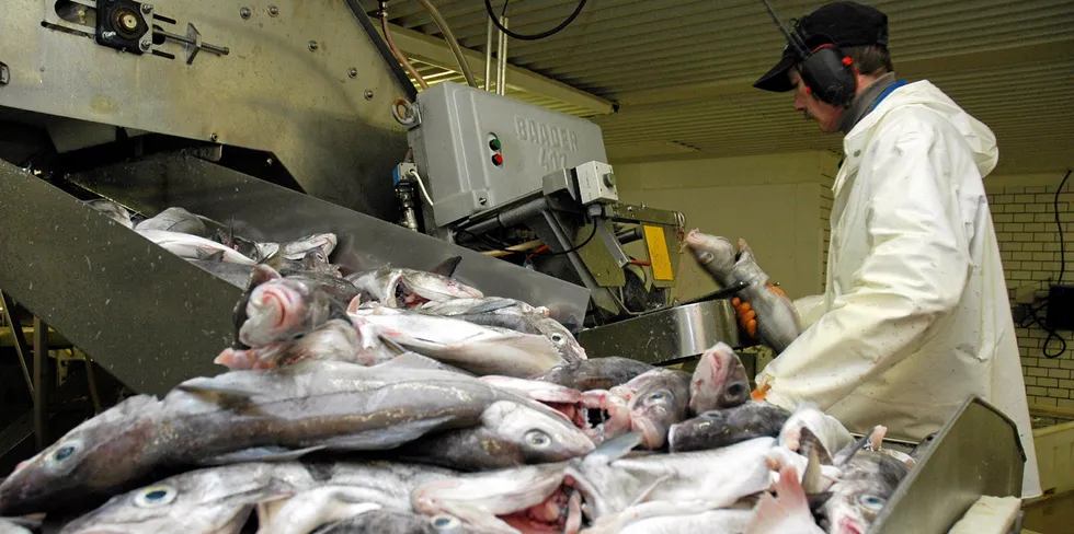 Hvordan kan villfisken skape økt aktivitet på land, blir et av de største spørsmålene i den nye kvotemeldingen. Politikerne må våge å ta grep som sikrer mer verdiskapning på land, mener Fiskeribladet.