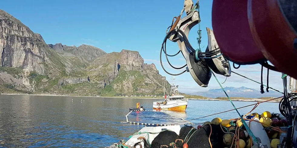 TROR PÅ VERN: Maren Esmark i Naturvernforbundet mener oljeboring i Lofoten, Vesterålen og Senja er en tapt sak for oljenæringa.Foto: privat