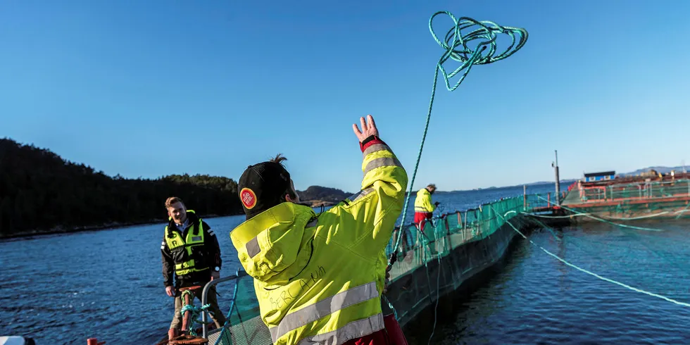 Her på Indre Slettevikneset oppdrettsanlegg har Blue Lice installert oppfinnelsen de mener er løsningen på problemet med lakselus.