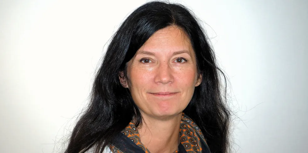 Monica Hansen Fjellberg overtok som konserndirektør i Bodø Energi i august i fjor. Selskapet har bedre bunnlinje enn tidligere, men entreprenørdelen har nedbemannet med 20 årsverk, og utbyttet til eierne av kraftkonsernet blir lavere enn før.