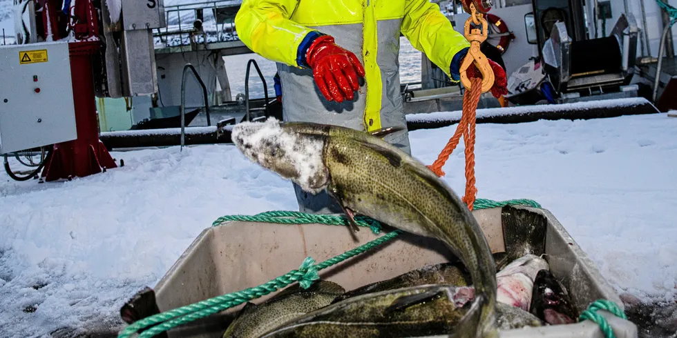 Sametinget og Bivdu til fiskeriministeren: Må sikre flåten som fisker i de sjøsamiske områdene