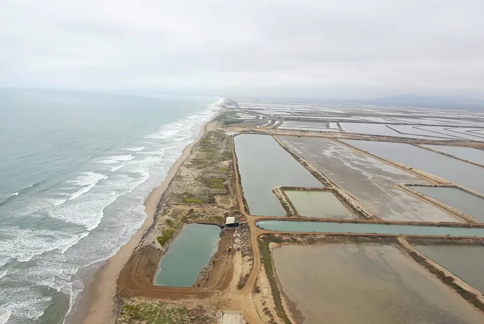 Ecuador shrimp ponds.