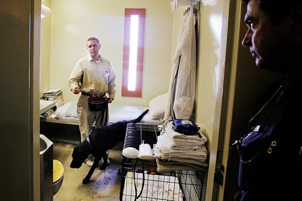 Fengselsinnsatt Edward Parent trener en labrador til å bli hjelpehund for funksjonshemmede, som en del av John J Moran-fengselets «Neads' Prison Pup»-program. Her med kaptein Nelson Lefebvre (til høyre). Hundene bedrer livskvaliteten dramatisk hos fangene. Foto: Brian Snyder/Reuters/NTB Scanpix
