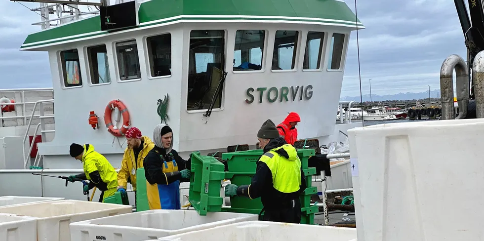 Den konvensjonelle havfiskebåten «Storvig» har gitt Andenes fiskemottak en tyvstart på årets blåkveitesesong med sine leveranser fra Tromsøflaket.