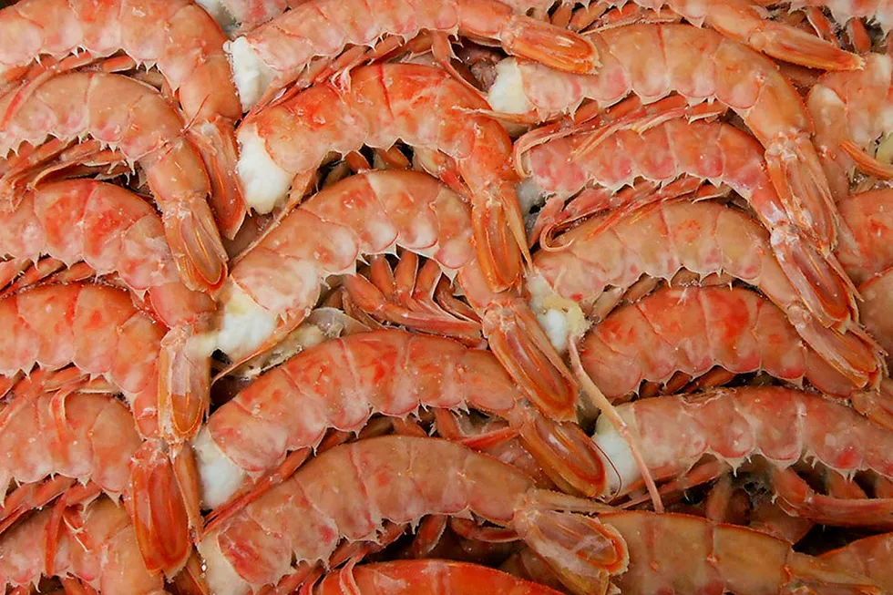 Argentinean shrimp tail.