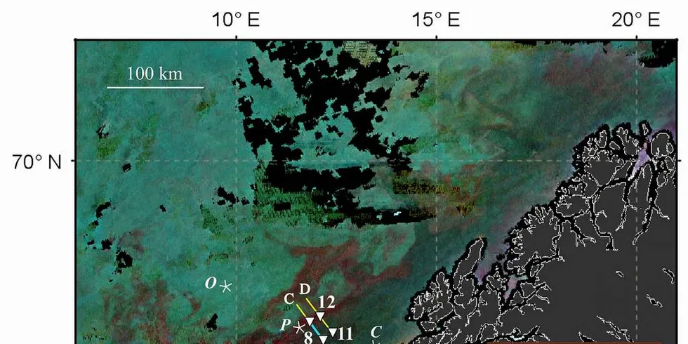 RAUDÅTE: Supersvermer av raudåte fra Helgeland til Troms er dokumentert via satelittbilder. Foto: Universitetet i Tromsø