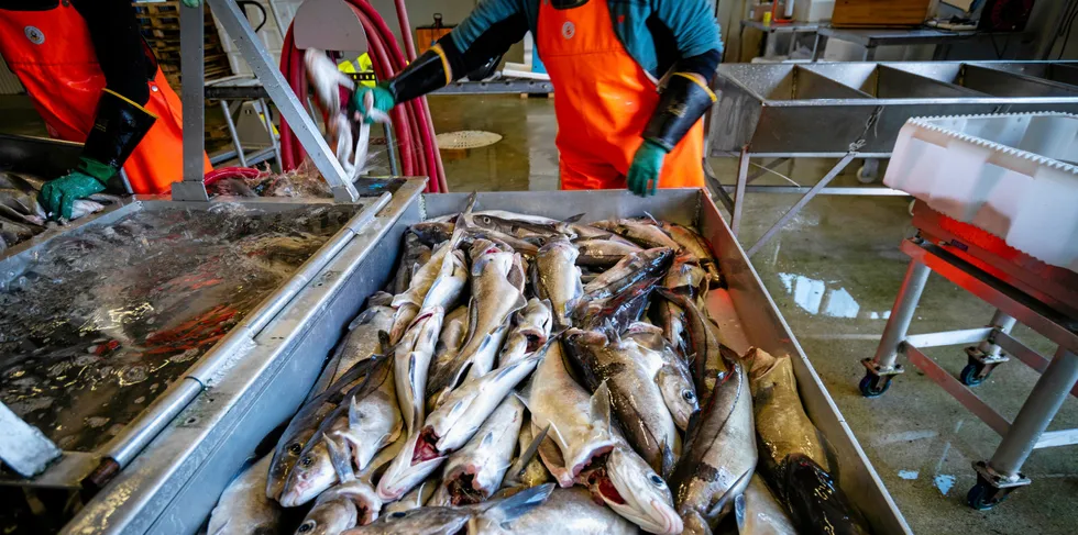 Maksimalkvoten på hyse for konvensjonelle havfiskefartøy økes.