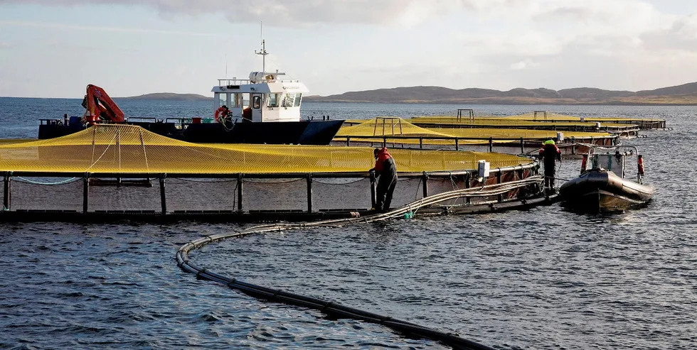 Grieg Seafood, Shetland.