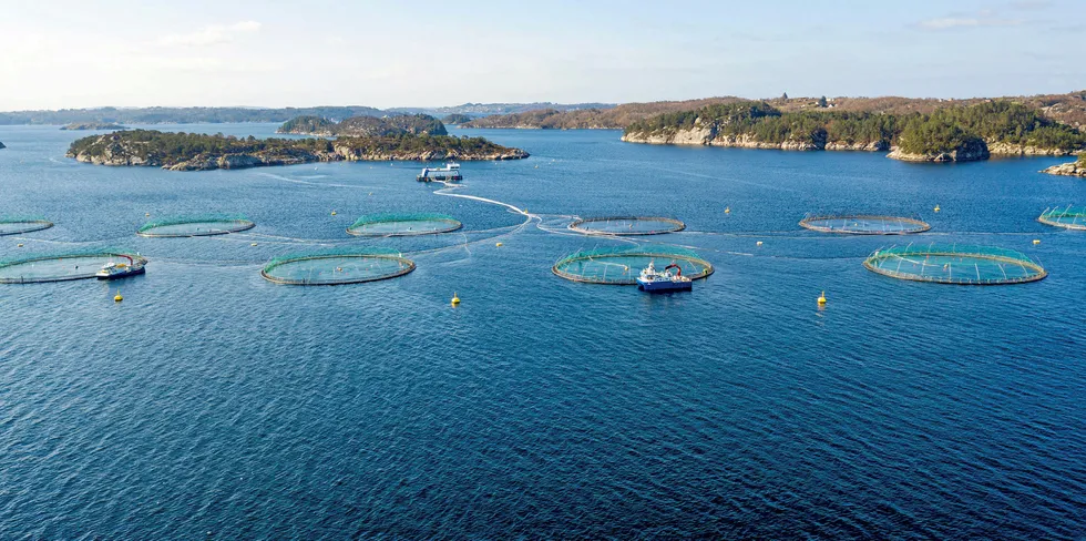 Lerøy Seafoods visningssenter på Flatøyflu.