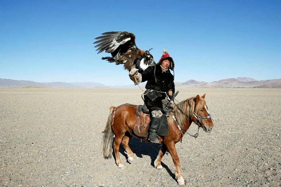Onshore effort: a Kazakh eagle hunter holds his bird during the Golden Eagle festival in the Altay Mountains near Sagsay village in western Mongolia's Bayan Olgiy province