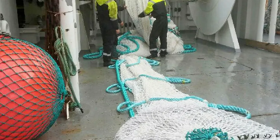 200 kilo makrell i første hal, rapporterer Leif Nøttestad fra om bord på «Vendla».