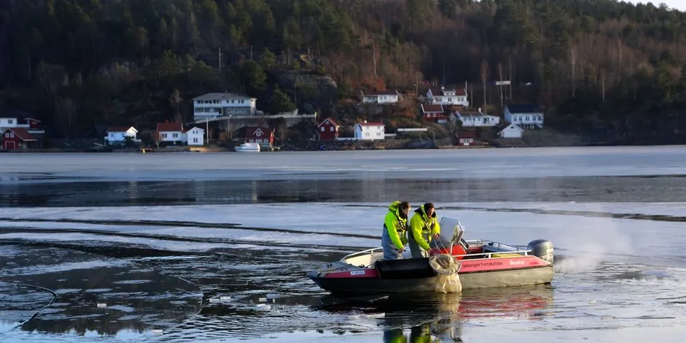 Forskning på fredningsområde i Tvedestrand. Der har det vært forbudt med all fiske siden sommeren 2012. Foto: Havforskningsinstituttet.