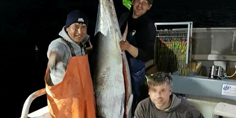 FANGST: Glede på «Rosøy». Fra venstre: Jose Acosta, tuna-tekniker fra leverandøren av utstyret Havfiskeri AS sammen med rederne Anfinn Ervik og Andre Hoddevik.