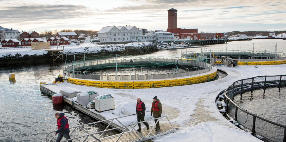 AkvaDesign har utviklet en teknologi for lukkede merder for oppdrett av fisk. Dette kan være en måte å unngå lakselus på.