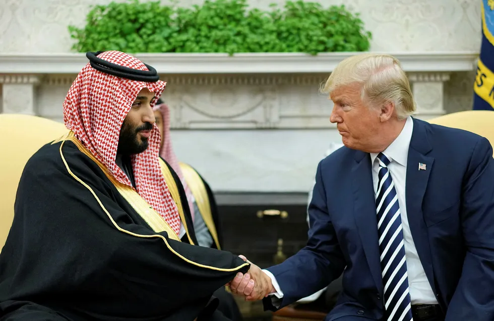 Encouraged to use oil wealth: Saudi Arabia's Crown Prince Mohammed bin Salman shakes hands with US President Donald Trump in the Oval Office of the White House in Washington