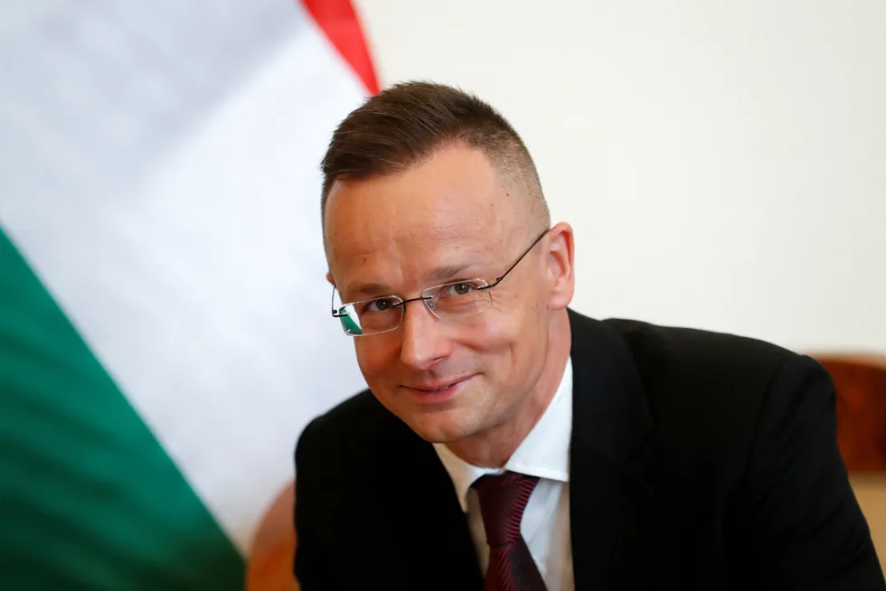 Commitments: Hungarian Foreign Minister Peter Szijjarto.