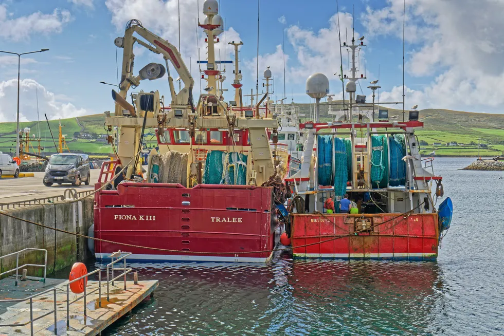 Ireland's fishermen feel betrayed by Brexit.
