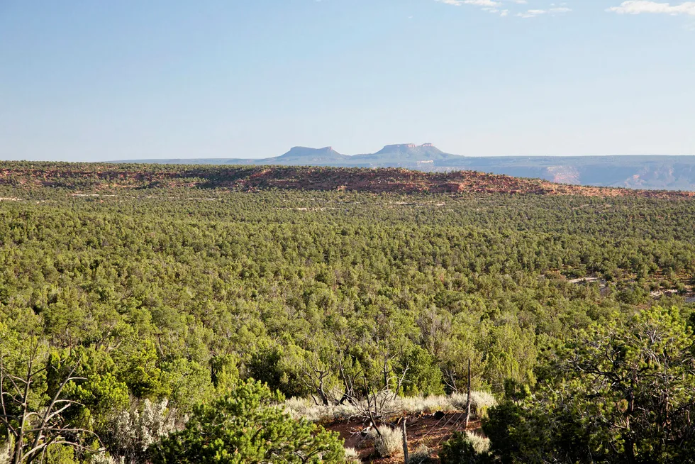 National Monument: uncertain future for Bears Ears